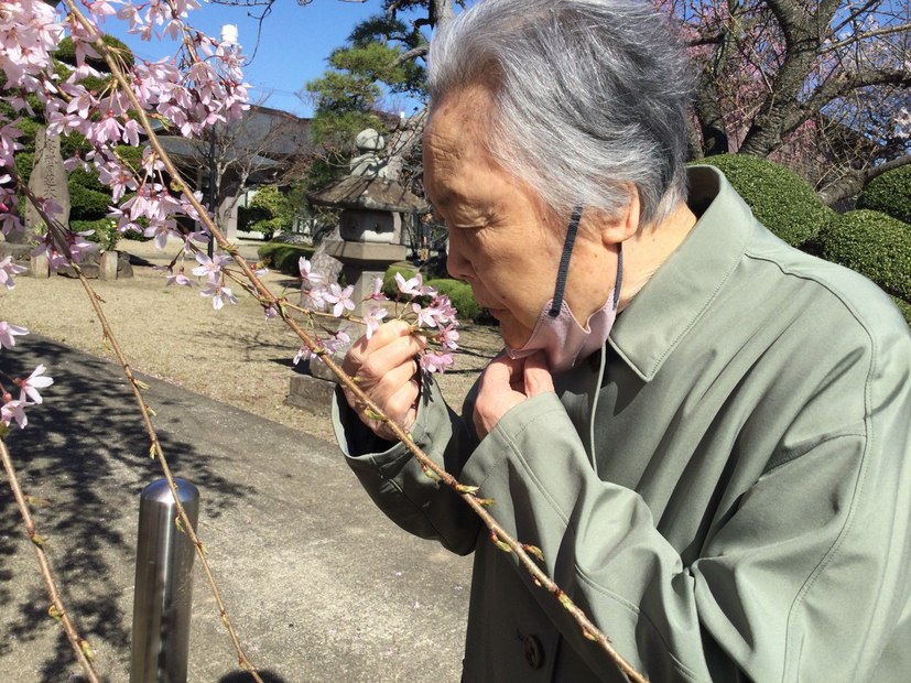 あんずハウス西公園の様子(14)